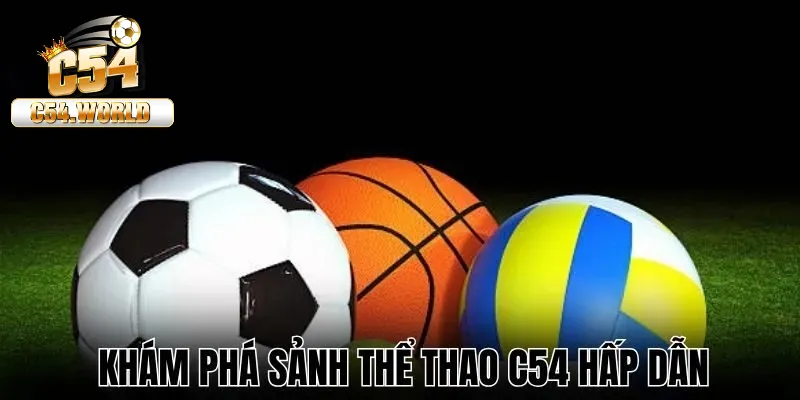 Thể Thao C54 – Siêu Phẩm Cá Cược Chất Lượng Hàng Đầu 2 Các sảnh thể thao được yêu thích nhất tại C54