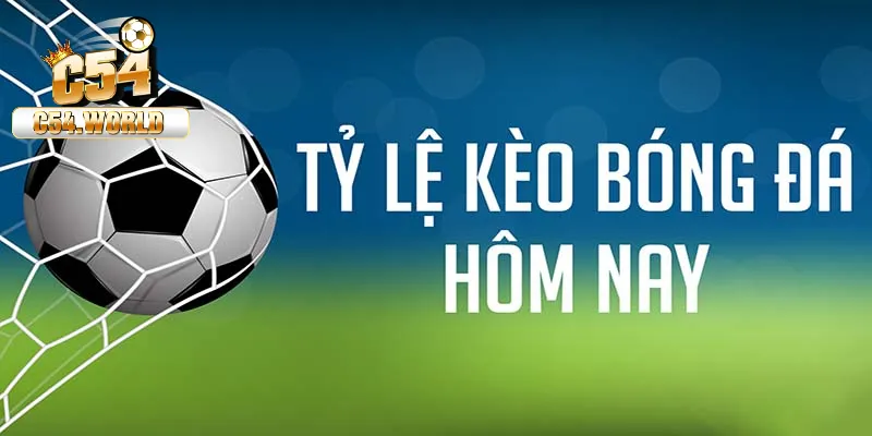 Tỷ lệ kèo bóng hôm nay: Hiểu về tỷ lệ cược và cách đặt cược sáng suốt 8 Hiểu tỷ lệ kèo bóng hôm nay