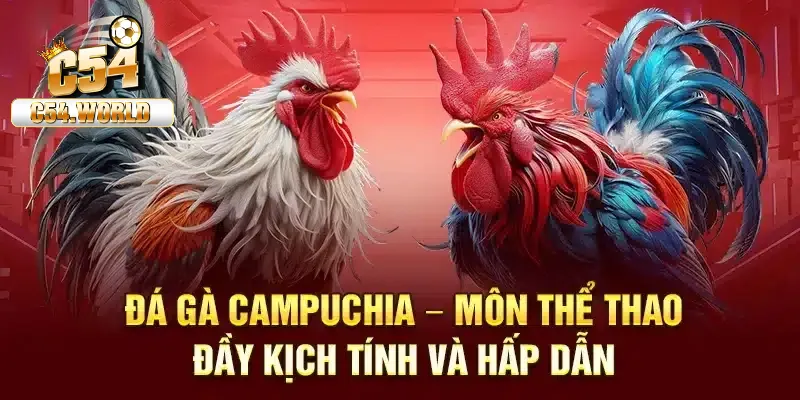 Đá gà Campuchia