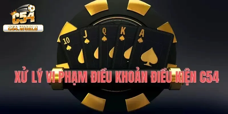 Điều kiện và điều khoản C54 | Những Điều Cần Biết Khi Tham Gia 3 Quy định cần nắm rõ khi chơi cá cược